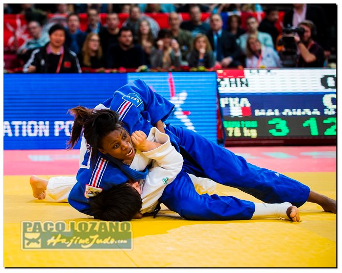 Paris 2014 by P.Lozano cat -78 kg_PLM4965